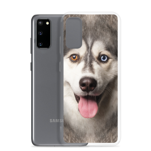 Husky Dog Samsung Case by Design Express