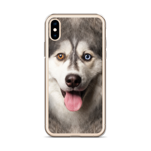 Husky Dog iPhone Case by Design Express