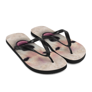 Shiba Inu Dog Flip-Flops by Design Express