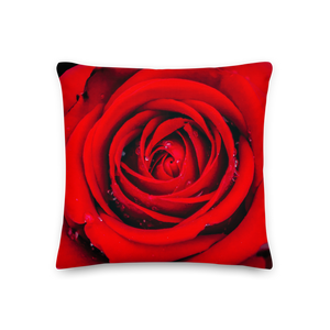 Fresh Red Rose Square Premium Pillow by Design Express