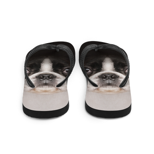 Boston Terrier Dog Flip-Flops by Design Express