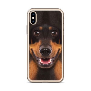 Dachshund Dog iPhone Case by Design Express