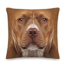 Staffordshire Bull Terrier Dog Premium Pillow by Design Express