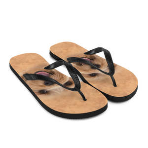 Yorkie Dog Flip-Flops by Design Express