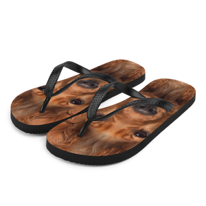 S Cocker Spaniel Dog Flip-Flops by Design Express