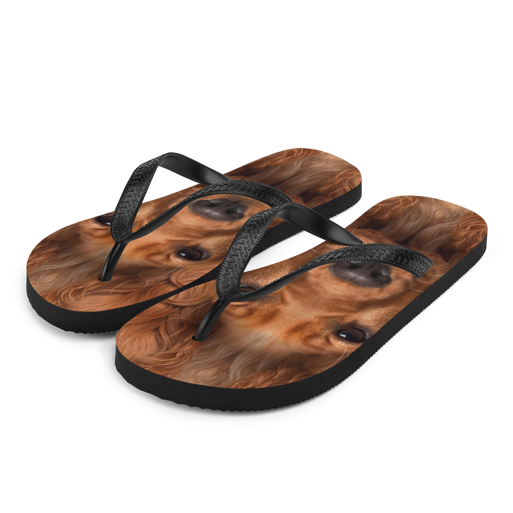 S Cocker Spaniel Dog Flip-Flops by Design Express