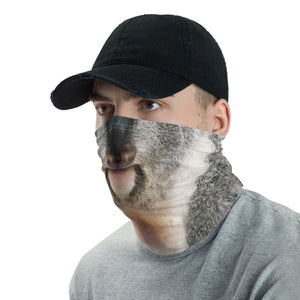 Koala Neck Gaiter Masks by Design Express