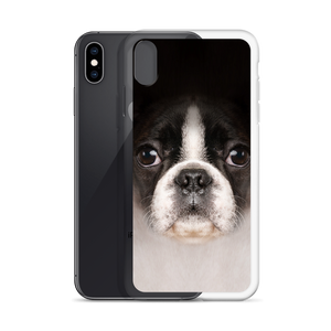 Boston Terrier Dog iPhone Case by Design Express