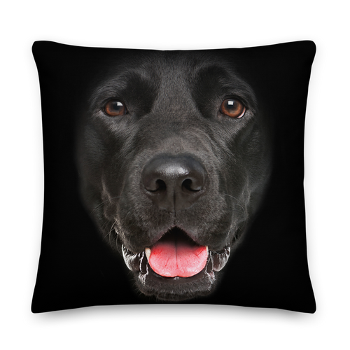 22×22 Labrador Dog Premium Pillow by Design Express