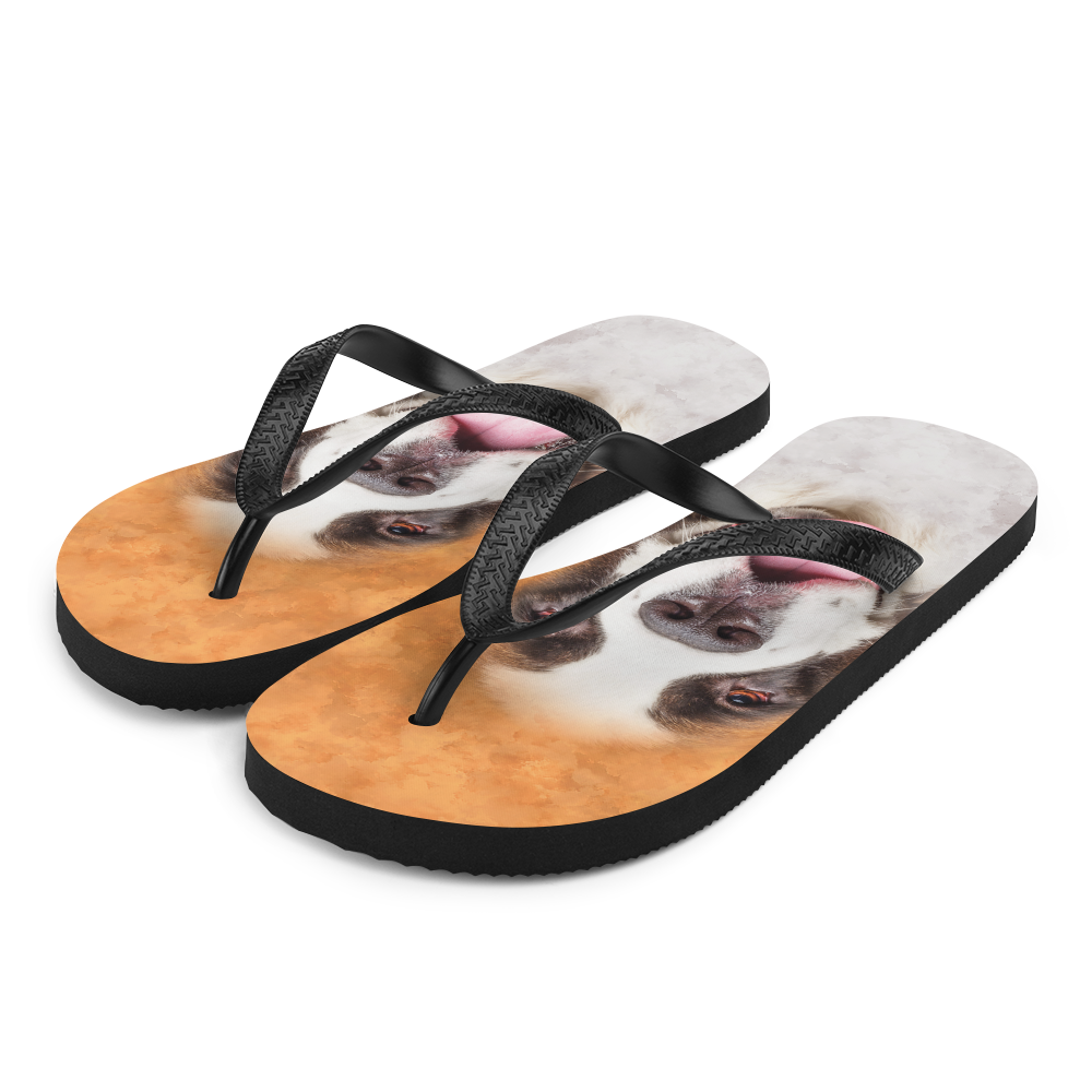 S Saint Bernard Dog Flip-Flops by Design Express