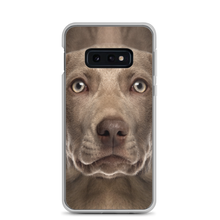 Samsung Galaxy S10e Weimaraner Dog Samsung Case by Design Express