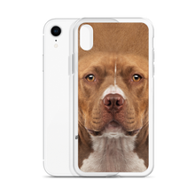 Staffordshire Bull Terrier Dog iPhone Case by Design Express