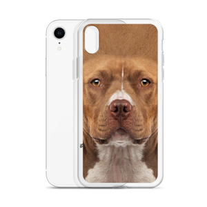 Staffordshire Bull Terrier Dog iPhone Case by Design Express