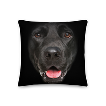 18×18 Labrador Dog Premium Pillow by Design Express