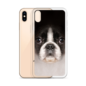 Boston Terrier Dog iPhone Case by Design Express