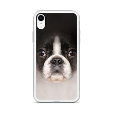 Boston Terrier Dog iPhone Case by Design Express