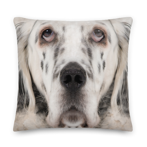 22×22 English Setter Premium Pillow by Design Express