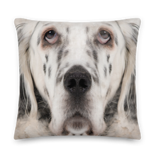 English Setter Premium Pillow by Design Express