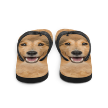 Shetland Sheepdog Flip-Flops by Design Express