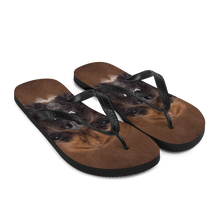 Boxer Dog Flip-Flops by Design Express