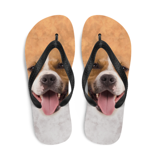 Pit Bull Dog Flip-Flops by Design Express