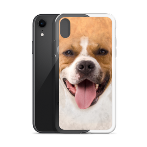 Pit Bull Dog iPhone Case by Design Express