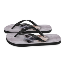 Schnauzer Dog Flip-Flops by Design Express