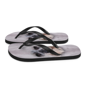 Schnauzer Dog Flip-Flops by Design Express