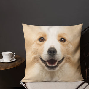 Border Collie "All Over Animal" Square Premium Pillow by Design Express