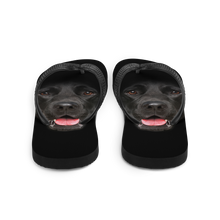 Labrador Dog Flip-Flops by Design Express