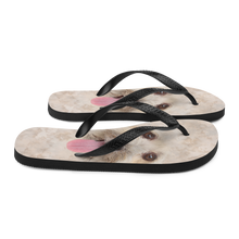 Bichon Havanese Dog Flip-Flops by Design Express