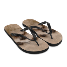 Shih Tzu Dog Flip-Flops by Design Express