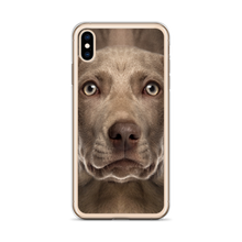 Weimaraner Dog iPhone Case by Design Express