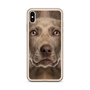 Weimaraner Dog iPhone Case by Design Express