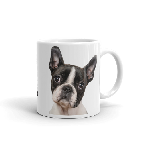 Default Title Boston Terrier Dog Mug Mugs by Design Express