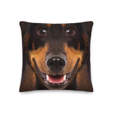 18×18 Dachshund Dog Premium Pillow by Design Express