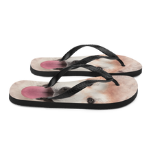 Akita Dog Flip-Flops by Design Express