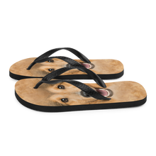 Shetland Sheepdog Flip-Flops by Design Express