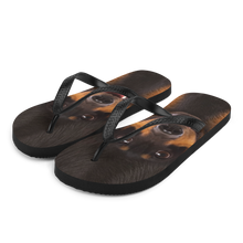 S Dachshund Dog Flip-Flops by Design Express