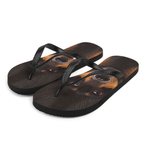 S Dachshund Dog Flip-Flops by Design Express