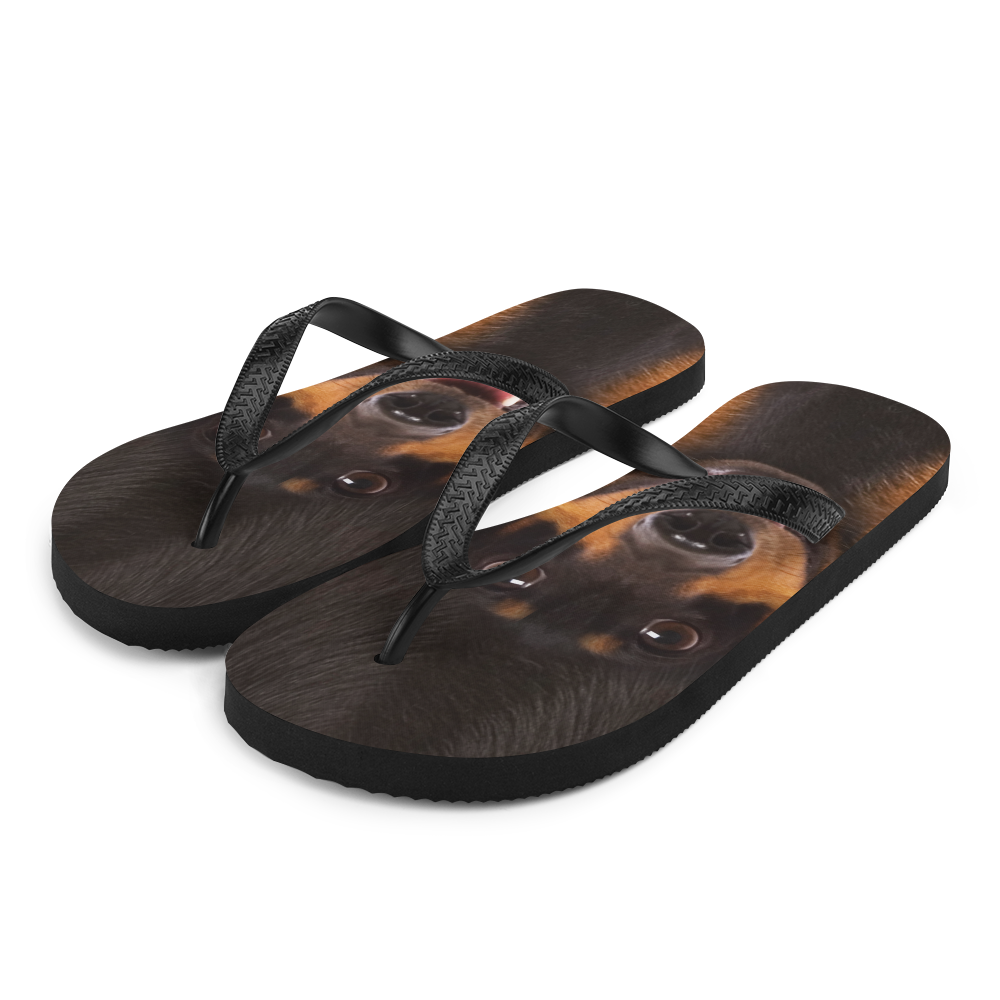 S Dachshund Dog Flip-Flops by Design Express