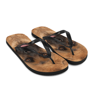 German Shepherd Dog Flip-Flops by Design Express