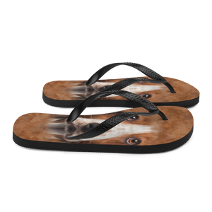 Basset Hound Dog Flip-Flops by Design Express