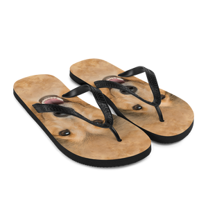 Shetland Sheepdog Flip-Flops by Design Express