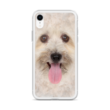 Bichon Havanese Dog iPhone Case by Design Express