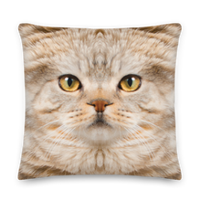 22×22 Scottish Fold Cat "Hazel" Premium Pillow by Design Express