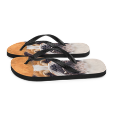 Bulldog Flip-Flops by Design Express