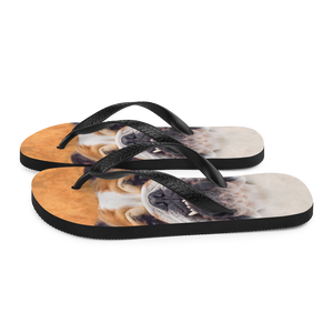 Bulldog Flip-Flops by Design Express