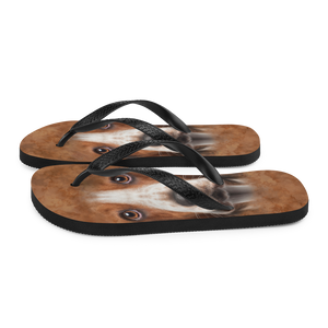 Basset Hound Dog Flip-Flops by Design Express