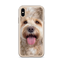 Labradoodle Dog iPhone Case by Design Express